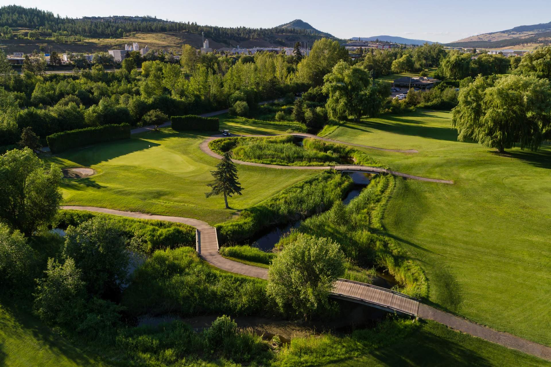 View overlooking all of Shadow Ridge